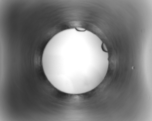 X0000088680330200706211913