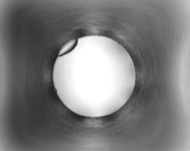 X0000088680331200706211913