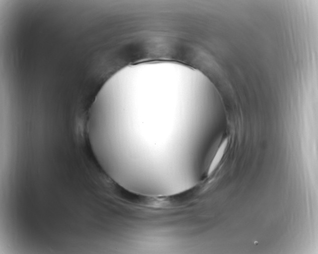 X0000088680333200706211913