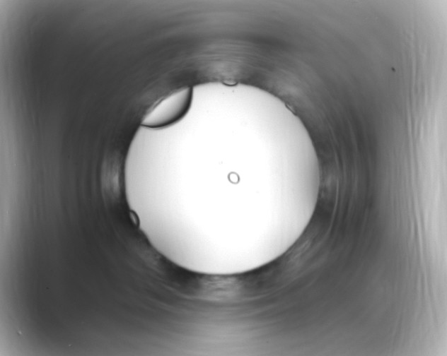 X0000088680334200706211913