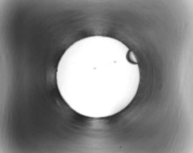 X0000088680336200706211913