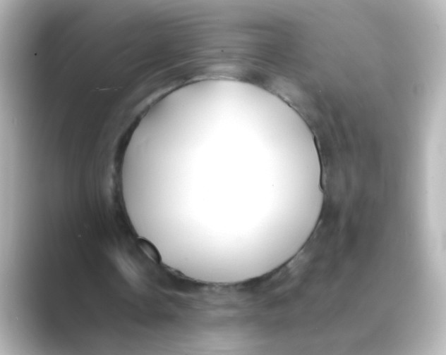 X0000088680338200706211913