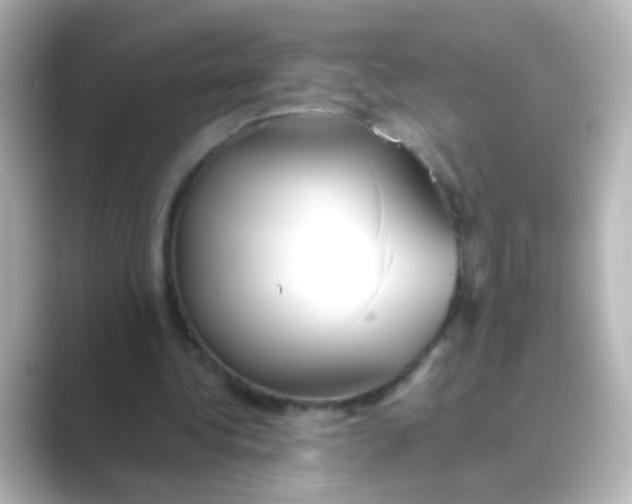 X0000088680340200706211913