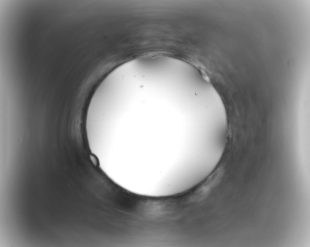 X0000088680341200706211913