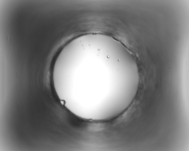 X0000088680342200706211913