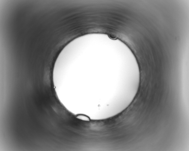 X0000088680345200706211913