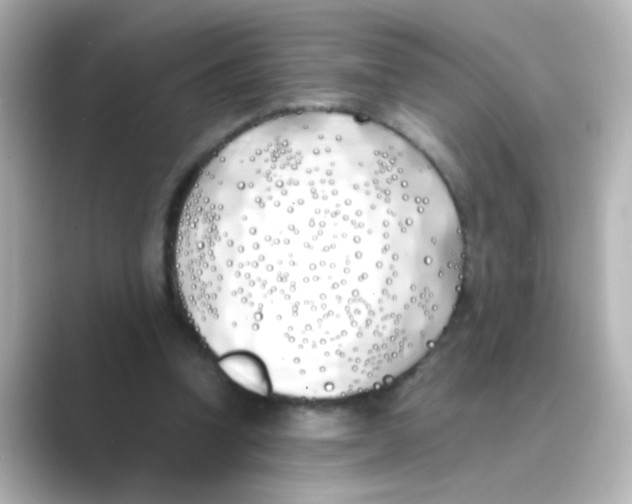 X0000088680346200706211913