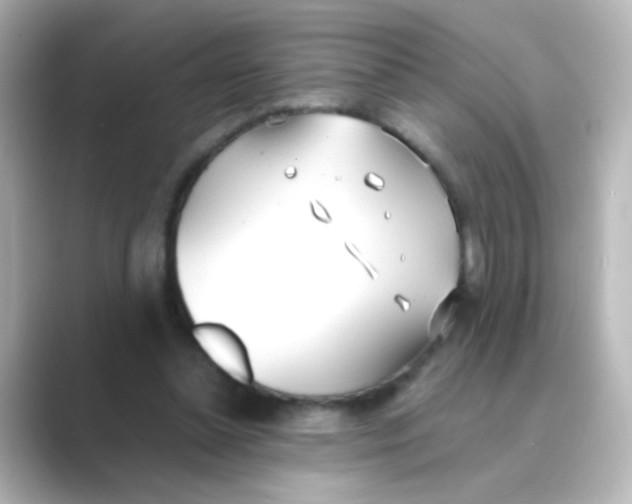 X0000088680348200706211913