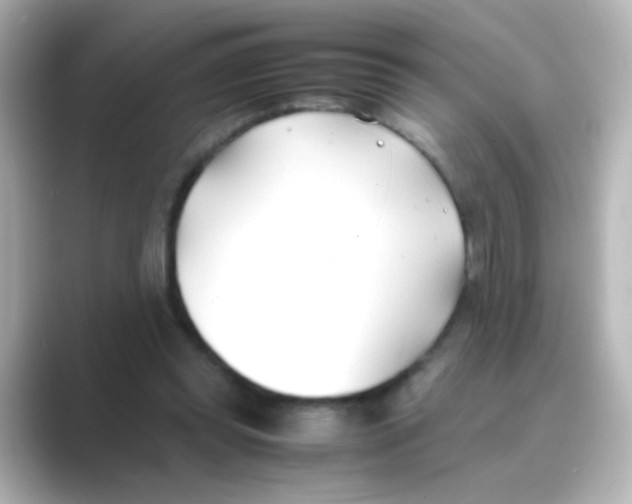 X0000088680349200706211913