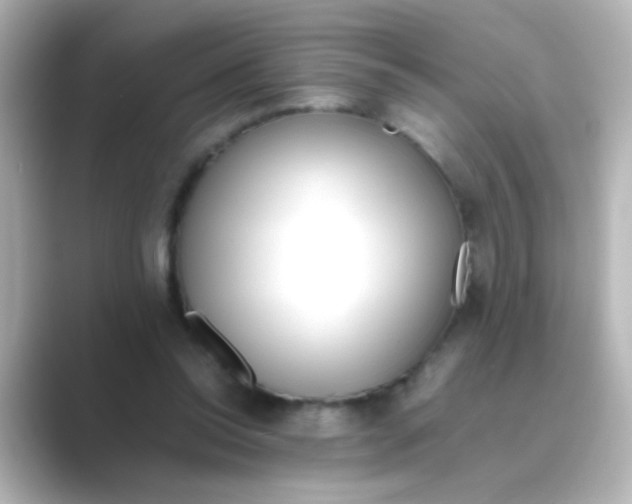 X0000088680350200706211913