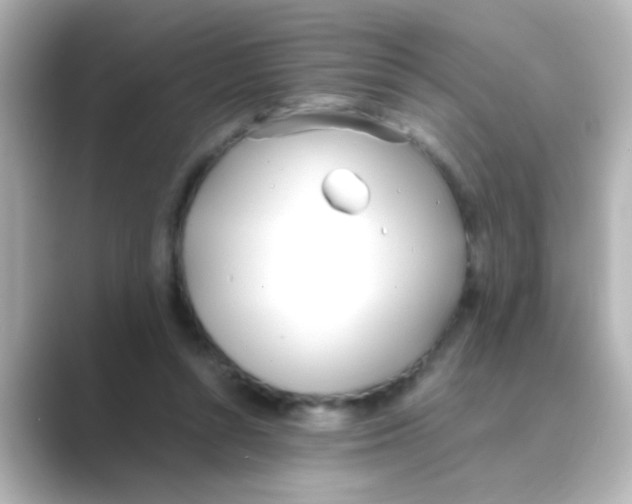 X0000088680352200706211913