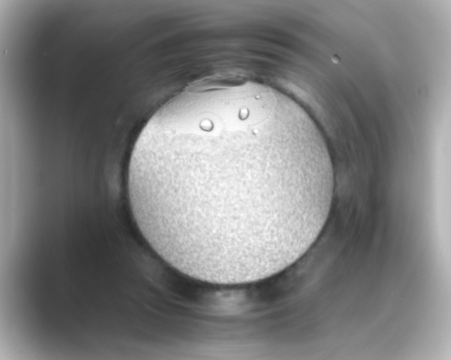 X0000088680353200706211913