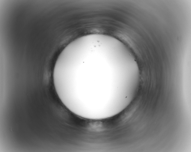 X0000088680355200706211913