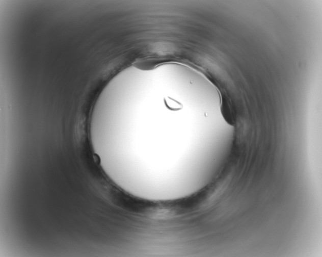X0000088680356200706211913