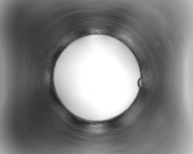 X0000088680357200706211913