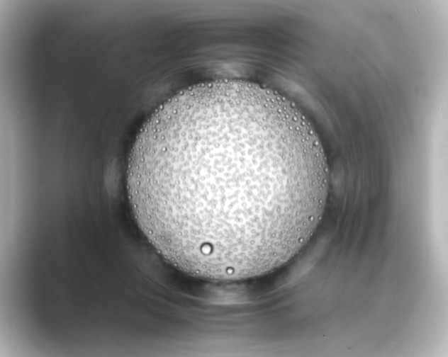 X0000088680359200706211913