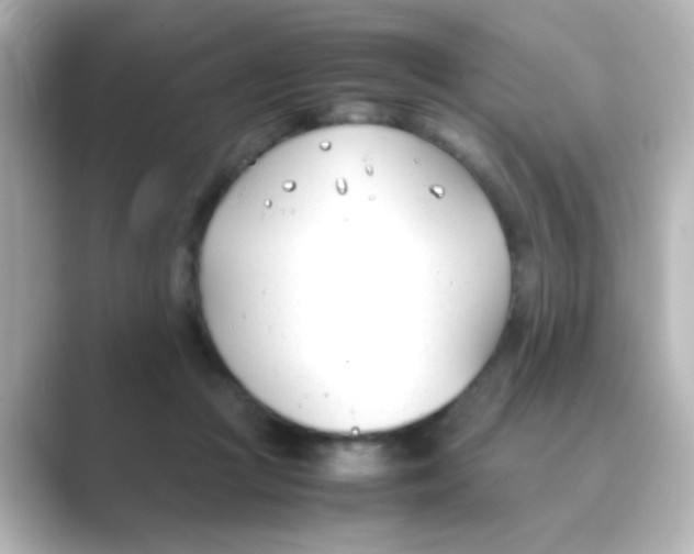 X0000088680361200706211913