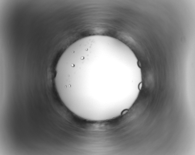 X0000088680366200706211913