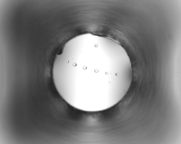 X0000088680368200706211913