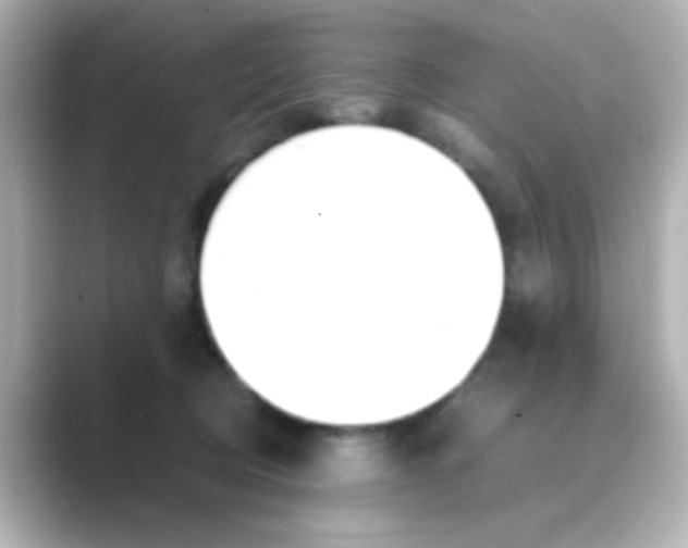 X0000088680370200706211913