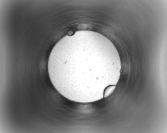 X0000088680375200706211913