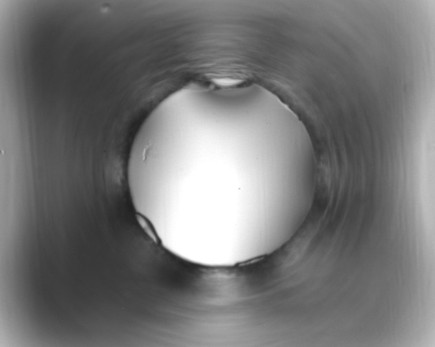 X0000088680380200706211913
