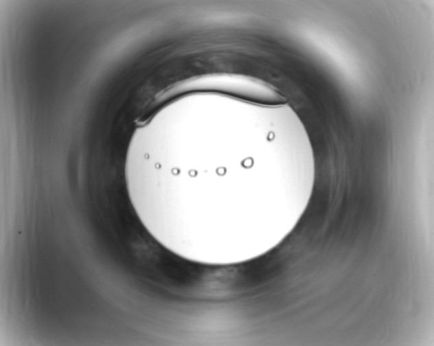 X0000088680382200706211913