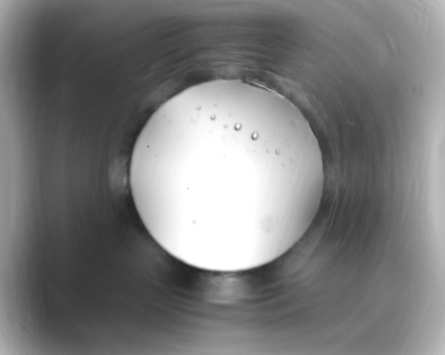 X0000088680383200706211913