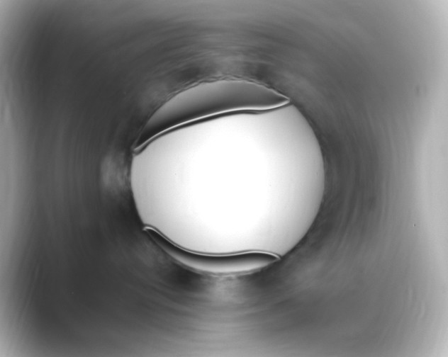 X0000088680384200706211913