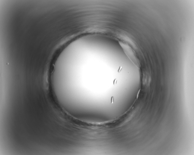 X0000088680388200706211913