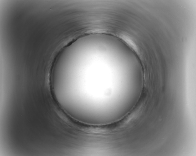 X0000088680389200706211913