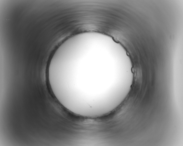 X0000088680390200706211913