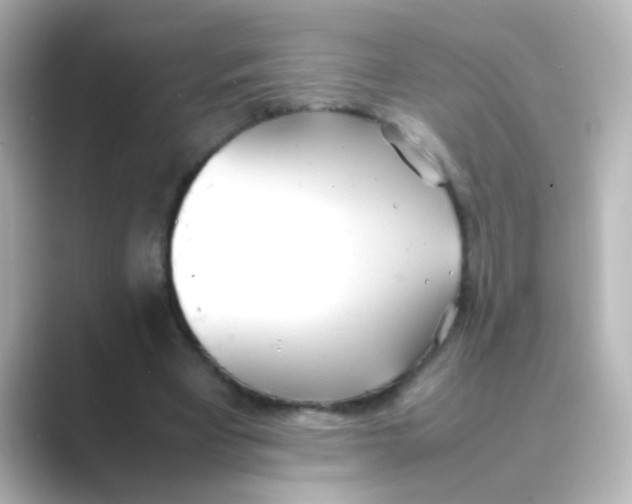 X0000088680393200706211913