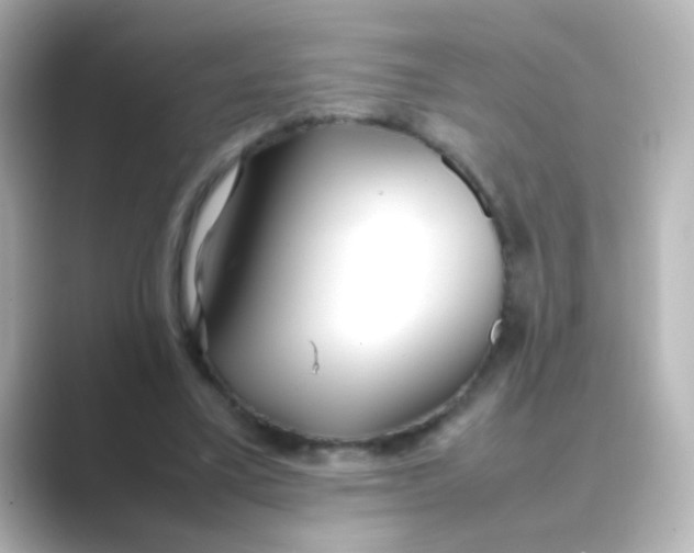 X0000088680395200706211912