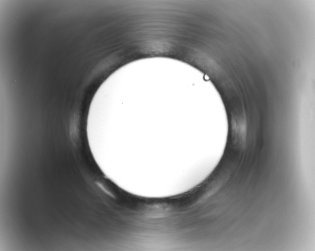 X0000088680396200706211912