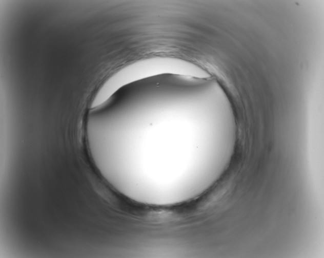 X0000088680397200706211912