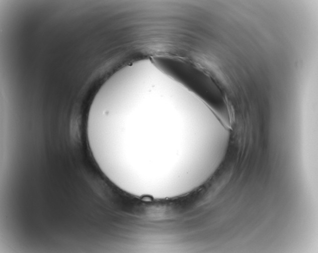 X0000088680400200706211912