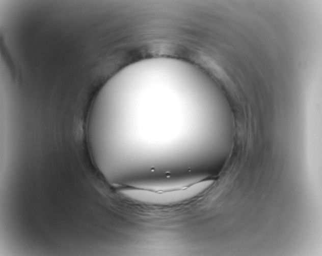 X0000088680401200706211912