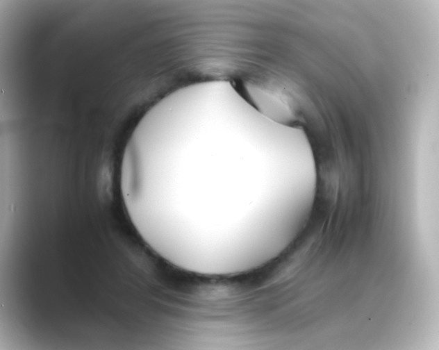 X0000088680404200706211912