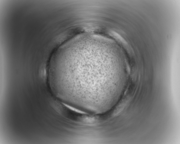 X0000088680405200706211912