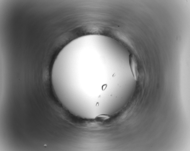 X0000088680407200706211912