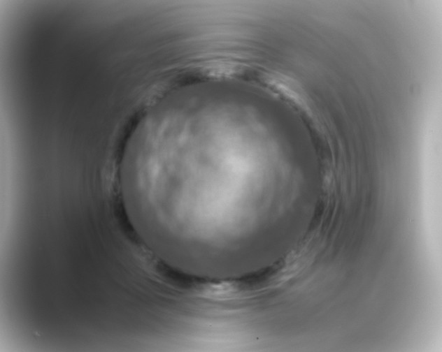 X0000088680411200706211912