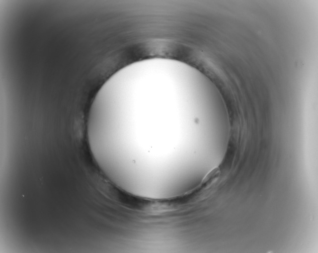 X0000088680413200706211912