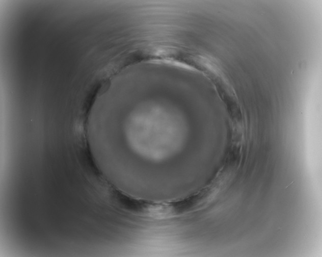 X0000088680415200706211912