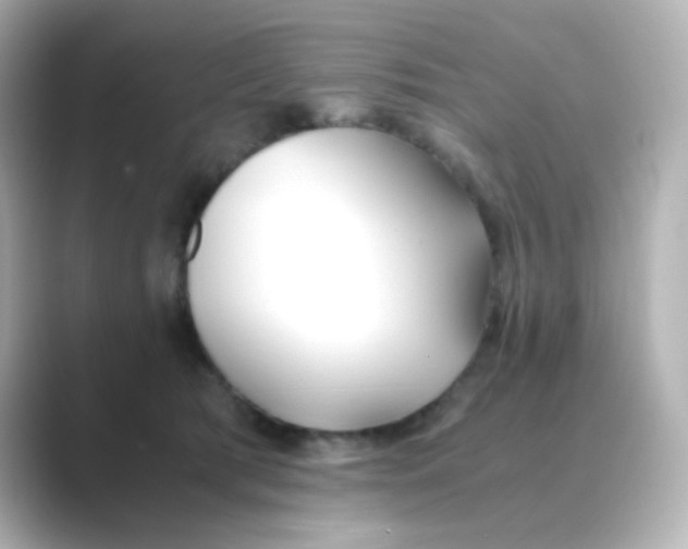 X0000088680417200706211912