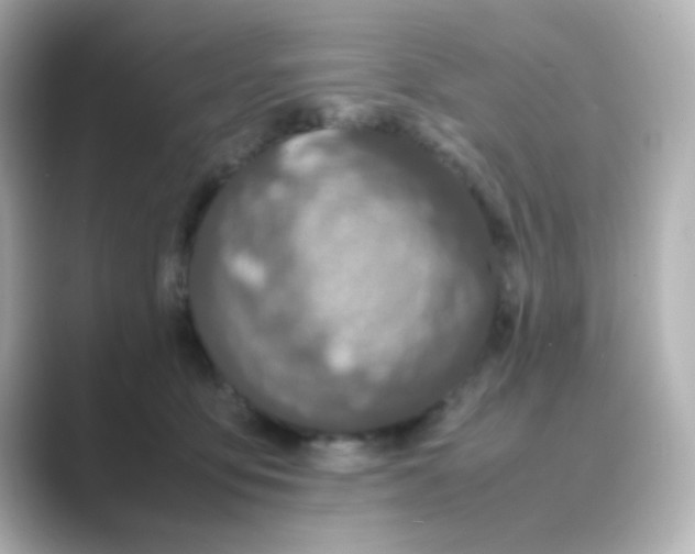 X0000088680419200706211912