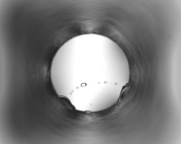 X0000088680420200706211912