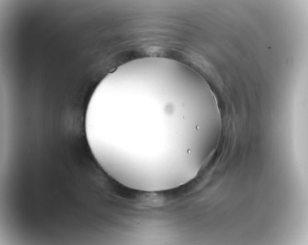 X0000088680421200706211912
