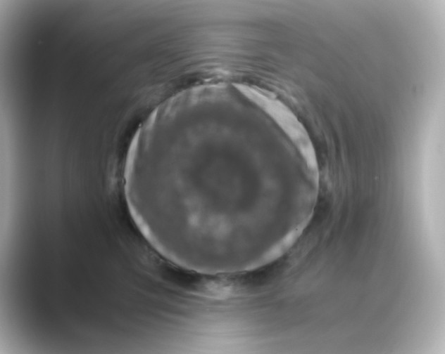 X0000088680423200706211912