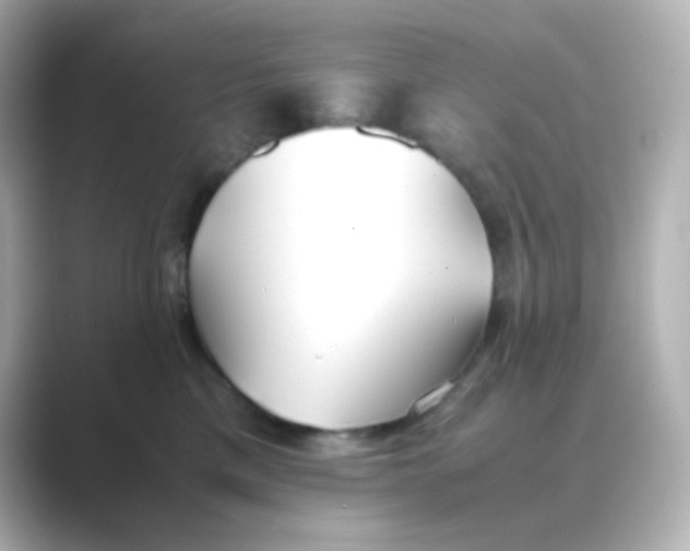 X0000088680425200706211912